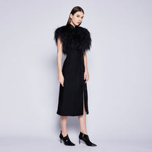 Load image into Gallery viewer, Feather Cape