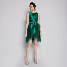 Load image into Gallery viewer, Felicia Feather Dress