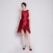 Load image into Gallery viewer, Felicia Feather Dress