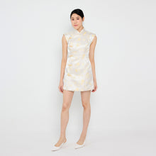 Load image into Gallery viewer, 文静 Wén Jìng Brocade Dress