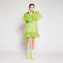 Load image into Gallery viewer, Organza Dress
