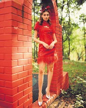 Load image into Gallery viewer, Xi Xi Feather 2pcs Qipao