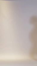 Load and play video in Gallery viewer, Myra Shorts