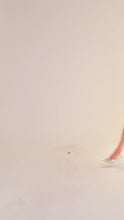 Load and play video in Gallery viewer, Embroidered Floral Shorts
