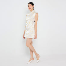 Load image into Gallery viewer, 文静 Wén Jìng Brocade Dress
