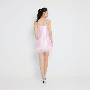 Ris Feather Dress