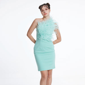 One-Shoulder Feather Dress