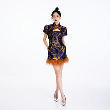 Load image into Gallery viewer, Mei Mei Feather Tube Dress
