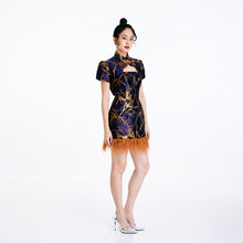 Load image into Gallery viewer, Mei Mei Feather Tube Dress

