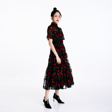 Load image into Gallery viewer, Fen Fen Embroidered Dress
