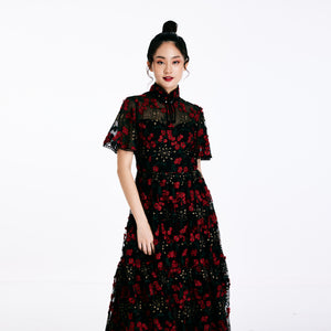 Fen Fen Embroidered Dress