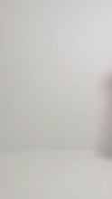 Load and play video in Gallery viewer, Rexy Pleated Dress
